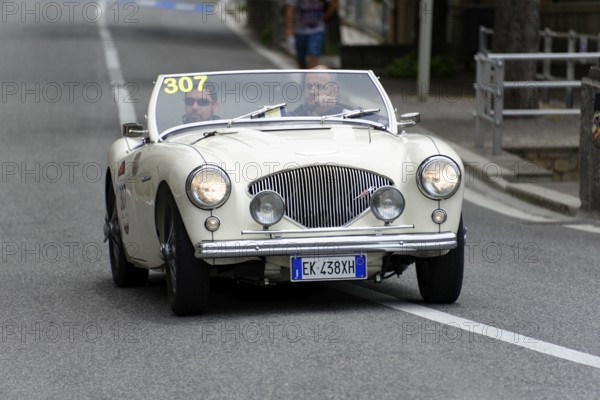 No. 307, Austin Healey 100 4 BN1, year of construction 1954, white convertible driving on a road with two occupants, Mille Miglia 2014 or 1000 Miglia, classic car race, San Marino, Italy