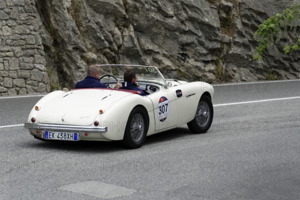 No. 307, Austin Healey 100 4 BN1, year of construction 1954, white retro convertible driving on a road surrounded by rocks, Mille Miglia 2014 or 1000 Miglia, classic car race, San Marino, Italy