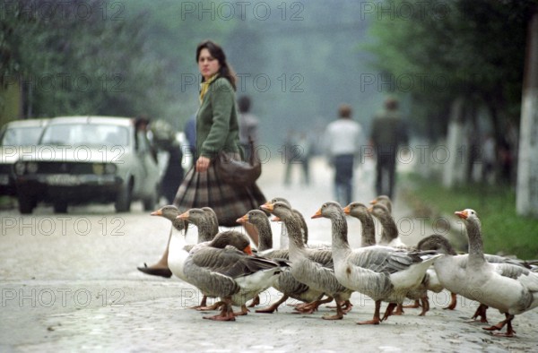 Romania, Jui Valley, 17.09.1991 Scene in a mining region. A girl and a flock of geese cross the street
