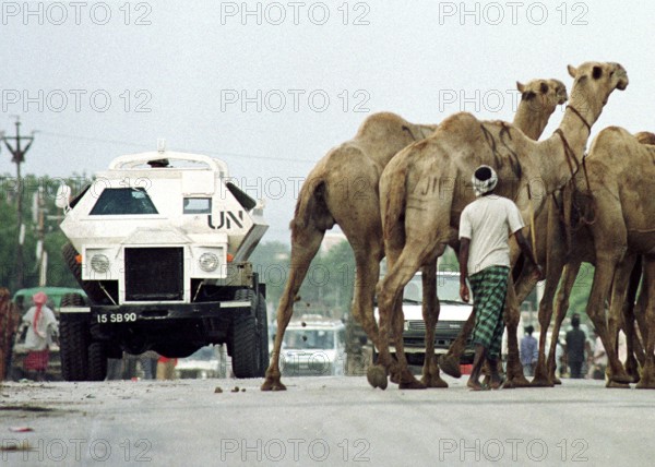 SOM, Mogadishu, 01.08.1993 -- A UN vehicle makes its way through a flock of camels on the roads of Mogadishu. -- An amoured UN vehicle passes a bunch of camels on the road from the UN compound to the airport in Mogadishu.