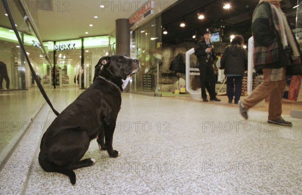 Berlin, DEU, 17.11.1998 -- Dog is waiting for its owner in front of a shop on Potsdamer Platz arcades. -- (retail, shopping center)
