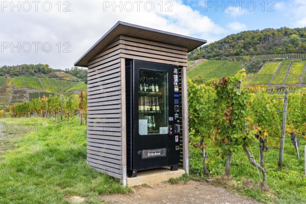 Vending machine for chilled wine and other drinks, wine machine of the Mayschoss-Altenahr winegrowers' cooperative, in a vineyard near Mayschoß, Mittelahr region, Rhineland-Palatinate