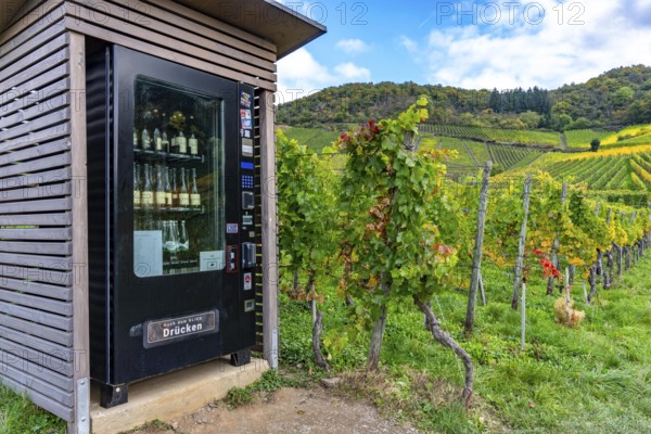 Vending machine for chilled wine and other drinks, wine machine of the Mayschoss-Altenahr winegrowers' cooperative, in a vineyard near Mayschoß, Mittelahr region, Rhineland-Palatinate
