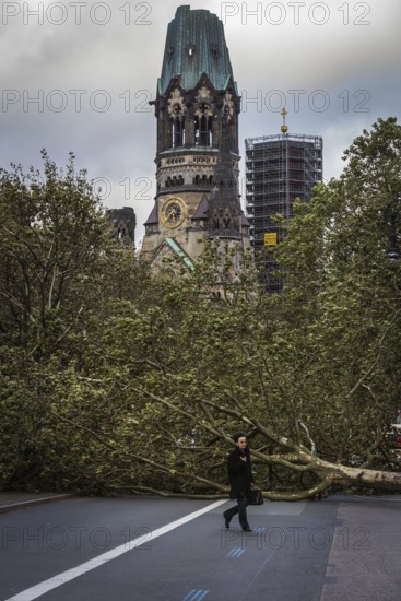 DEU Germany Germany Berlin Fire service on Kurfürstendamm. Storm Xavier had caused trees to fall onto the road. Passer-by crosses the blocked Kudamm