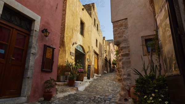 Soft morning light, picturesque street with flowers and old architecture in warm light, Monemvasia, Monemvassia, Malvasy, Byzantine small town, rocky island, fortress, Laconia, Peloponnese, peninsula, Greece