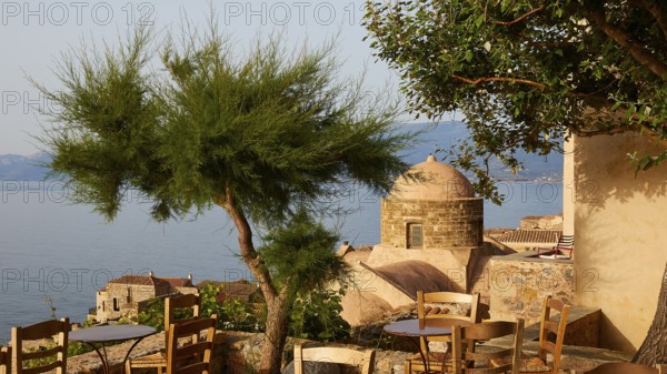 Soft morning light, fresh tree with Mediterranean vegetation and view of the sea from a terrace, Monemvasia, Monemvassia, Malvasy, Byzantine small town, rocky island, fortress, Laconia, Peloponnese, peninsula, Greece