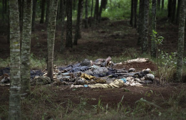 RWA Rwanda Nyamata Victims of the genocide lie in a wooded area not far from Nyamata south of the capital Kigali. RWA Rwanda Nyamata Dead bodies lie in a forest outside of Nyamata south of Kigali