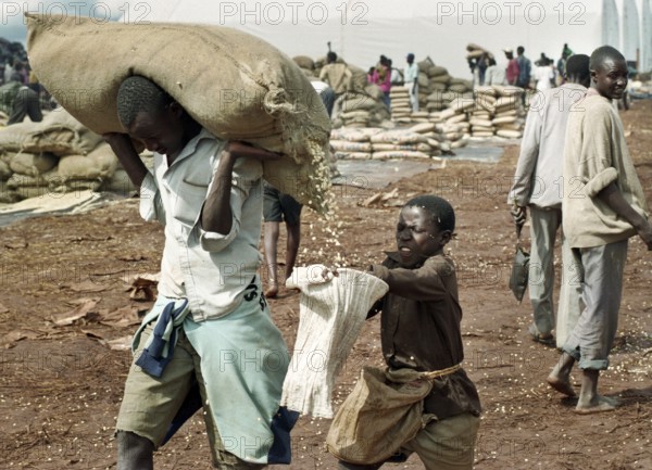 TZA Tanzania scene in the Benaco Camp refugee camp, to which up to 500, 000 Rwandan Tutsis fled the genocide in their country. A refugee boy picks up corn kernels from a leaky sack. TZA Tanzania Scene at the Benaco Camp, where an estimate of 500, 000 Rwandan Tutsi refugees fled the genocide in their country.Refugee boy fishes corn from a leaking food bag