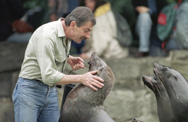 DEU, Frankfurt, 14.09.1994 -- Feeding seals in Frankfurt Zoo. (animal park, zookeeper) -- © Karsten Thielker