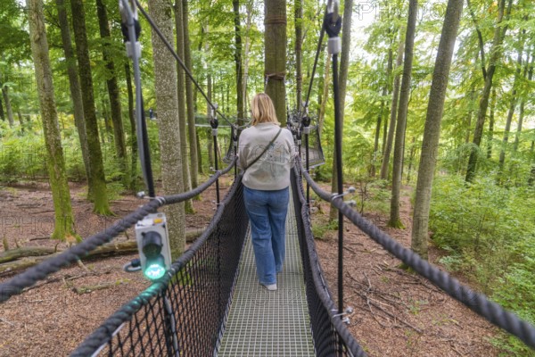 Woman walking on a treetop path through the forest, Treewalk, Affenberg Salem, Bodenseekreis, Germany