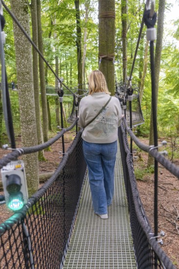 Woman walking across a narrow treetop path in the forest, Treewalk, Affenberg Salem, Bodenseekreis, Germany