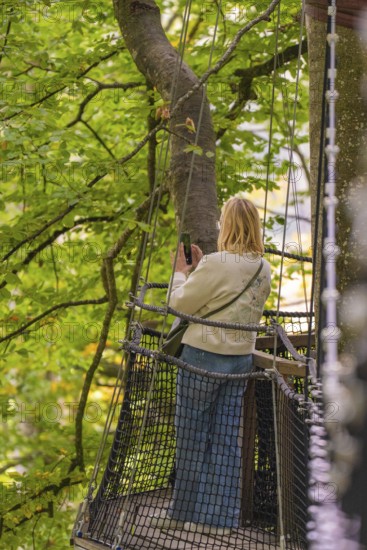 Woman on a platform in the treetops of a forest, Treewalk, Affenberg Salem, Bodenseekreis, Germany
