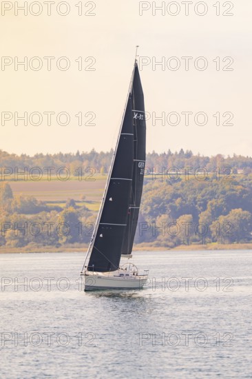 Sailing boat in a quiet autumn landscape along the wooded coast in sunny weather, boat trip, Lake Constance, Germany