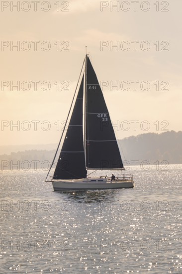 Sailing boat with black sail on sparkling water under bright sun, boat trip, Lake Constance, Germany