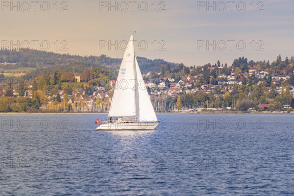 Sailing boat on a calm lake, nestled in an idyllic autumnal coastal landscape, boat trip, Lake Constance, Germany