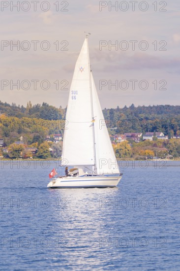 A sailboat sails peacefully on a quiet lake with autumnal landscape in the background, boat trip, Lake Constance, Germany