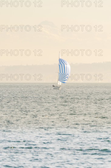 Sailing boat with blue and white sail floating on a wide lake against a mountain backdrop, Schiff Fahrt, Lake Constance, Germany