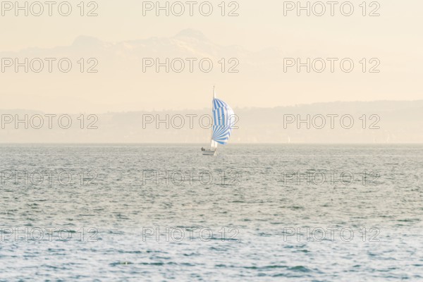 Small sailboat with blue and white sail on a quiet lake against a mountain backdrop, boat trip, Lake Constance, Germany