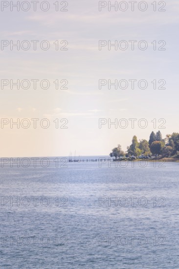 View over calm water on a wooded coast with a pier, boat trip, Lake Constance, Germany