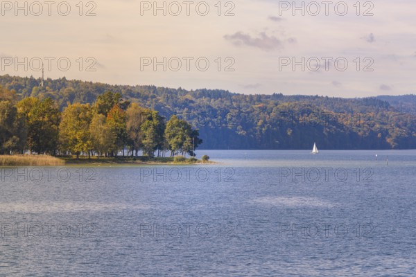 View of quiet lake with sailboat and wooded shore, boat trip, Lake Constance, Germany