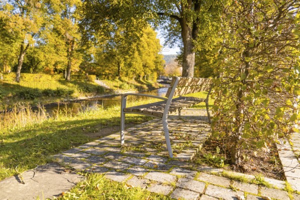 Lonely park bench in an autumnal park overlooking a river under golden trees, Nagold, Black Forest, Germany