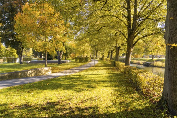 Sunny walking trail in the park with yellow foliage and large trees, Nagold, Black Forest, Germany