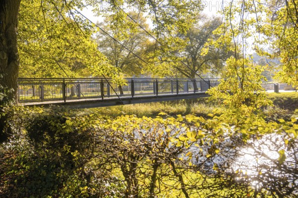 Autumn scene with a bridge over a river, surrounded by golden yellow deciduous trees, Nagold, Black Forest, Germany