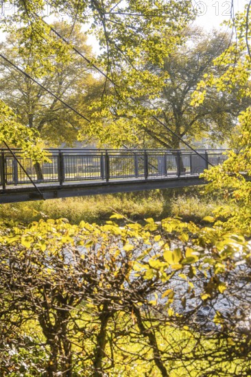 Footbridge across a river surrounded by autumn-colored trees and sunlight, Nagold, Black Forest, Germany