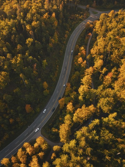 A winding road crosses an autumnal forest, some vehicles are on the way, Nagold, Black Forest, Germany