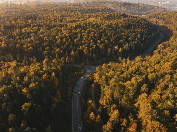 A forest with a winding road surrounded by autumn-colored trees in daylight, Nagold, Black Forest, Germany