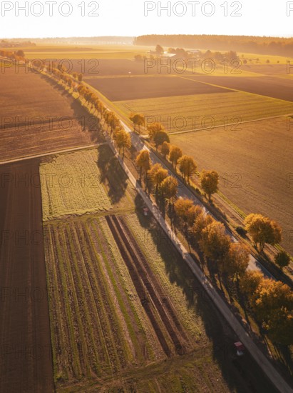 Bird's-eye view of fields and trees in warm autumn light at sunset, Nagold, Black Forest, Germany