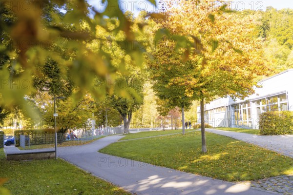 A well-maintained park path with colorful autumn trees and grasses illuminated by sunlight, Nagold, Black Forest, Germany
