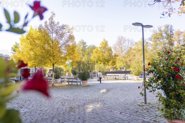 A quiet place with blooming plants and autumn-colored trees, illuminated by street lamps, Nagold, Black Forest, Germany