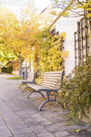 Two benches in front of a plant-covered building surrounded by autumn leaves in calm weather, Nagold, Black Forest, Germany