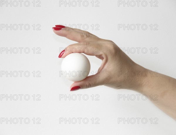Female hand Showing white egg, São Paulo, Brazil