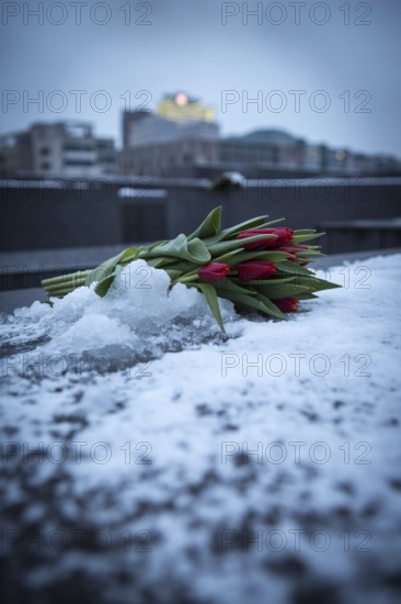 DEU Germany Germany Berlin Messages immortalized in snow from visitors to the Holocaust Memorial in Berlin-Mitte
