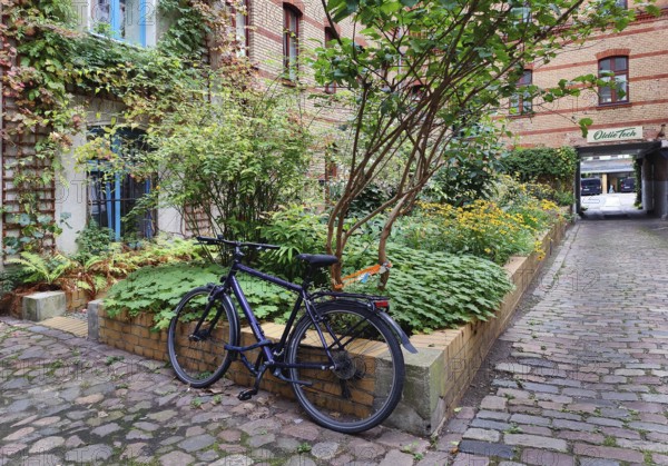 Green backyard in Kreuzberg, Berlin-Kreuzberg, Germany