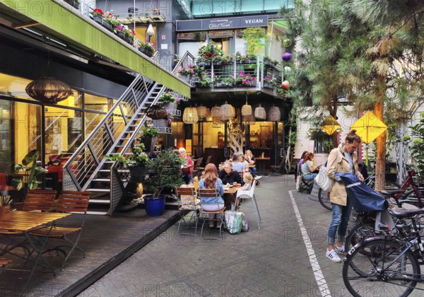 Green backyard with a restaurant in Kreuzberg, Berlin-Kreuzberg, Germany