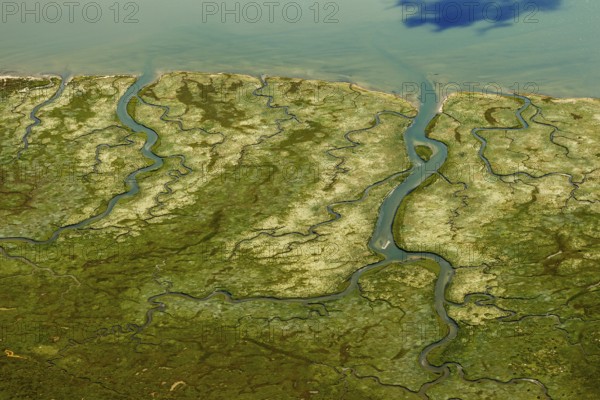 Ostheller, salt marshes with Prilen, Wadden Sea, aerial view, Norderney, North Sea, North Sea island, East Frisian Islands, Lower Saxony, Germany, Baltrum, Europe, birds-eyes view, aerial photography, aerial photography, aerial photography, overview, bird's eye view