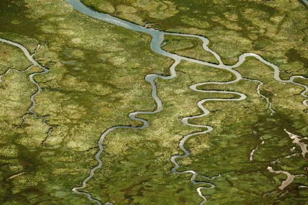 Ostheller, salt marshes with Prilen, aerial view, Norderney, North Sea, North Sea island, East Frisian Islands, Lower Saxony, Germany, Baltrum, Europe, birds-eyes view, aerial view, aerial photography, aerial photography, overview, bird's eye view