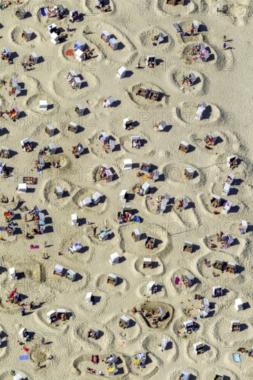 Sandy beach beach with beach chairs and sand walls, sand castles, aerial view, Wangerooge, North Sea, North Sea island, East Frisian Islands, Lower Saxony, Germany, Europe, birds-eyes view, aerial view, aerial photography, aerial photography, overview, bird's eye view