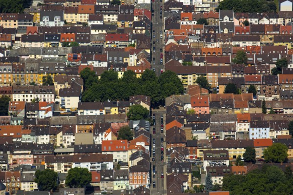 Neckarstadt Draisstraße with tree island, city centre square, Mannheim, Baden-Württemberg, Germany, Europe, aerial view, birds-eyes view, aerial photography, aerial photography, overview, bird's eye view