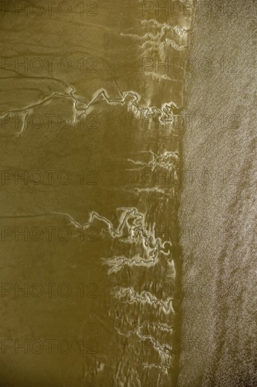 Elbe, tidal flats at low tide on an island in the Elbe near Wedel and Jork, Wedel, Lower Saxony, Germany, Jork, Free and Hanseatic City of Hamburg, Europe, aerial photograph, birds-eyes view, aerial photography, aerial photography, overview, bird's eye view