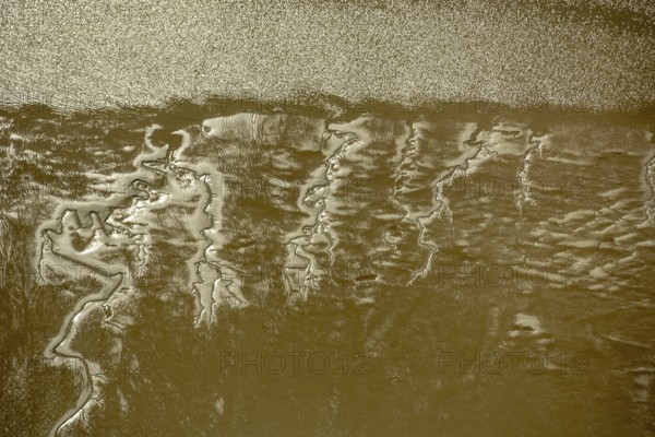 Elbe, tidal flats at low tide on an island in the Elbe near Wedel and Jork, Wedel, Lower Saxony, Germany, Jork, Free and Hanseatic City of Hamburg, Europe, aerial photograph, birds-eyes view, aerial photography, aerial photography, overview, bird's eye view