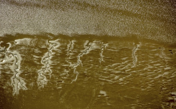 Elbe, tidal flats at low tide on an island in the Elbe near Wedel and Jork, Wedel, Lower Saxony, Germany, Jork, Free and Hanseatic City of Hamburg, Europe, aerial photograph, birds-eyes view, aerial photography, aerial photography, overview, bird's eye view