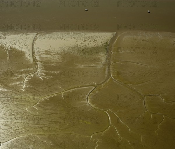 Elbe, tidal flats at low tide on an island in the Elbe near Wedel and Jork, Wedel, Lower Saxony, Germany, Free and Hanseatic City of Hamburg, Schleswig-Holstein, Europe, aerial photograph, birds-eyes view, aerial photography, aerial photography, overview, bird's eye view