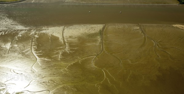 Elbe, tidal flats at low tide on an island in the Elbe near Wedel and Jork, Wedel, Lower Saxony, Germany, Free and Hanseatic City of Hamburg, Schleswig-Holstein, Europe, aerial photograph, birds-eyes view, aerial photography, aerial photography, overview, bird's eye view