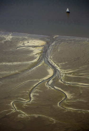 Elbe, tidal flats at low tide on an island in the Elbe near Wedel and Jork, Wedel, Lower Saxony, Germany, Free and Hanseatic City of Hamburg, Schleswig-Holstein, Europe, aerial photograph, birds-eyes view, aerial photography, aerial photography, overview, bird's eye view