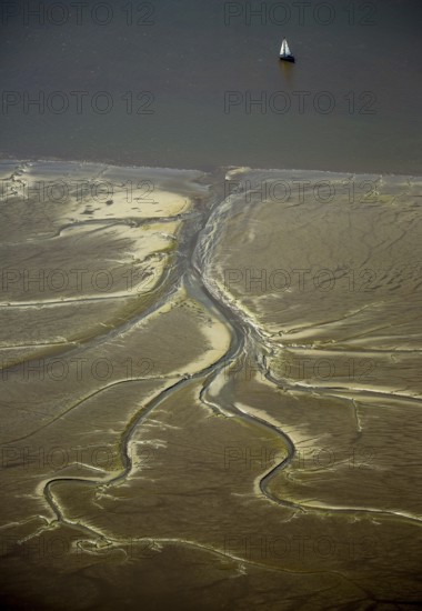Elbe, tidal flats at low tide on an island in the Elbe near Wedel and Jork, Wedel, Lower Saxony, Germany, Free and Hanseatic City of Hamburg, Schleswig-Holstein, Europe, aerial photograph, birds-eyes view, aerial photography, aerial photography, overview, bird's eye view