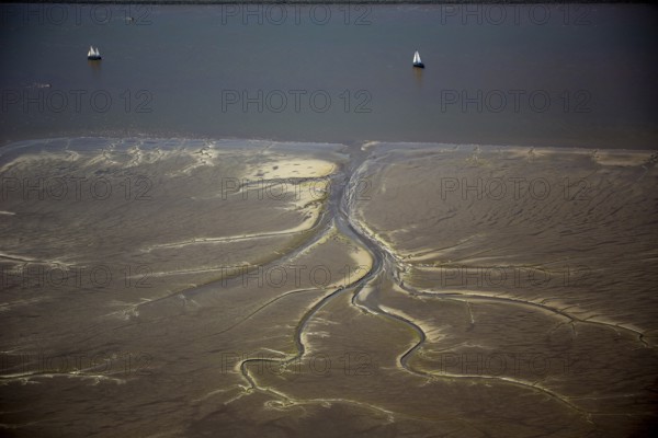 Elbe, tidal flats at low tide on an island in the Elbe near Wedel and Jork, Wedel, Lower Saxony, Germany, Free and Hanseatic City of Hamburg, Europe, aerial photograph, birds-eyes view, aerial photography, aerial photography, overview, bird's eye view